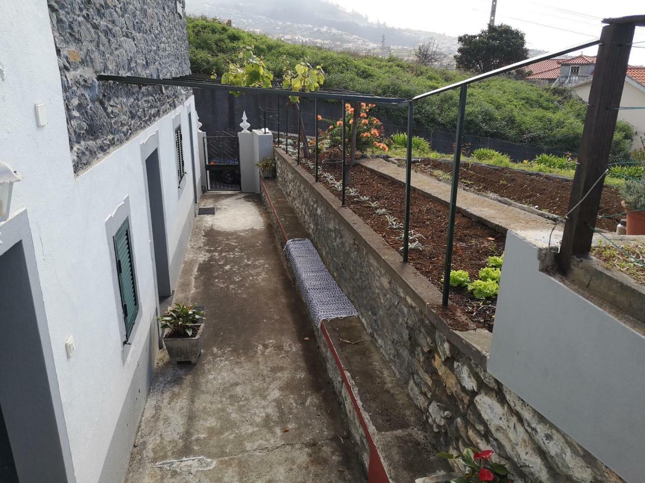 Madeira Inn Casa Da Paz 卡列塔 外观 照片