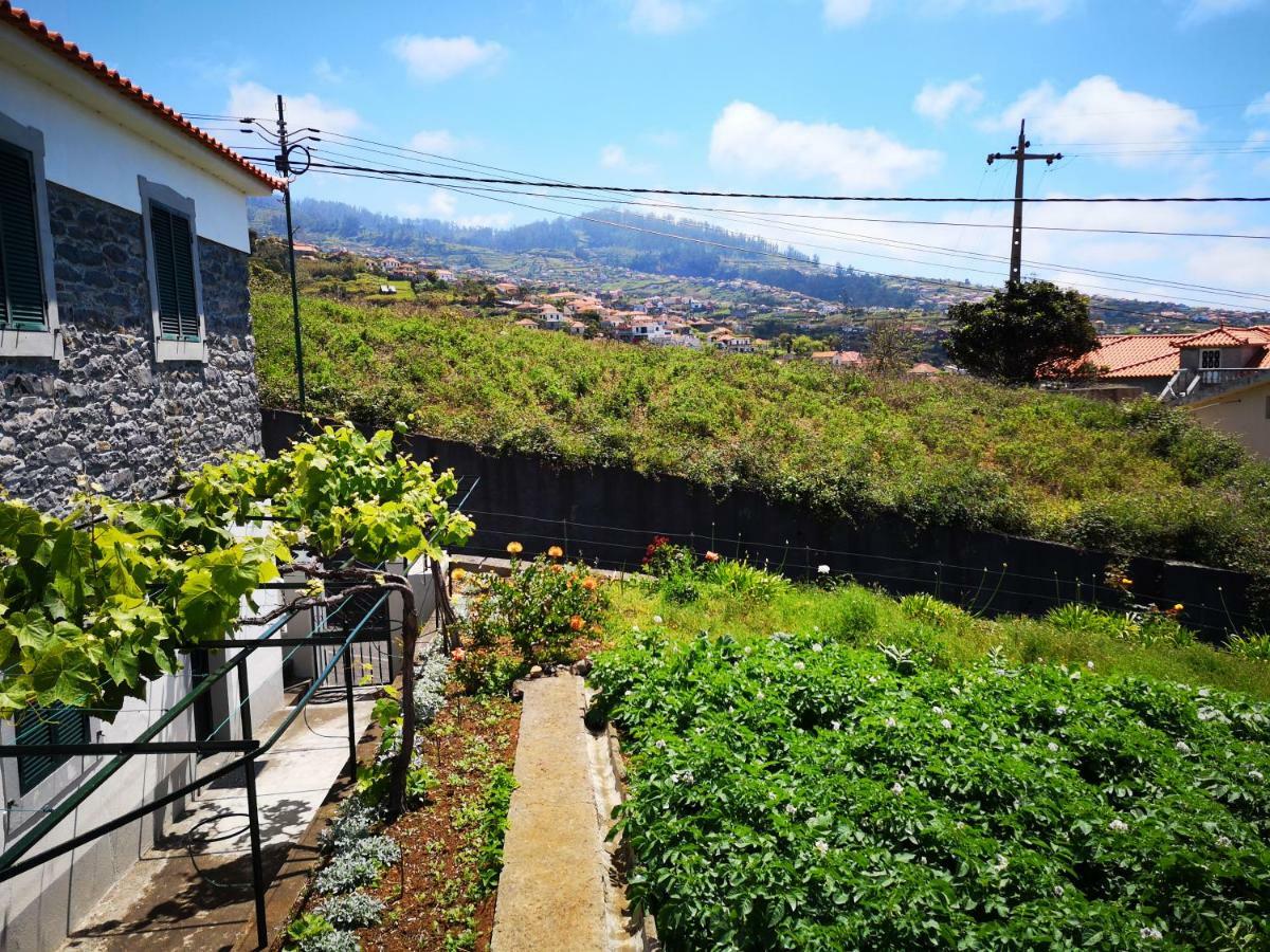 Madeira Inn Casa Da Paz 卡列塔 外观 照片